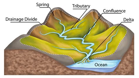 Geography What Is A River Level 2 Activity For Kids Primaryleap Co Uk