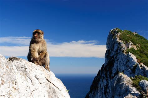 Gibraltar Vaccinations Amp Travel Health Advice