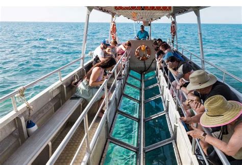 Glass Bottom Boat Dry Tour 9 30Am Fitzroy Island Resort Reservations