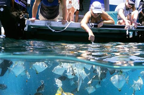 Glass Bottom Boat Tour Freedom Fast Cats