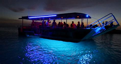 Glass Bottom Boat Tours Tangatours