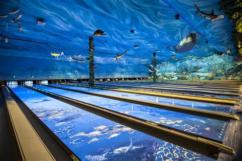 Go Bowling At An Undersea Aquarium With Sea Turtles And Stingrays