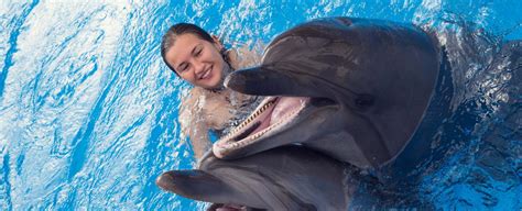 Go Swimming With Dolphins Near Destin This Year Dolphin Encounters