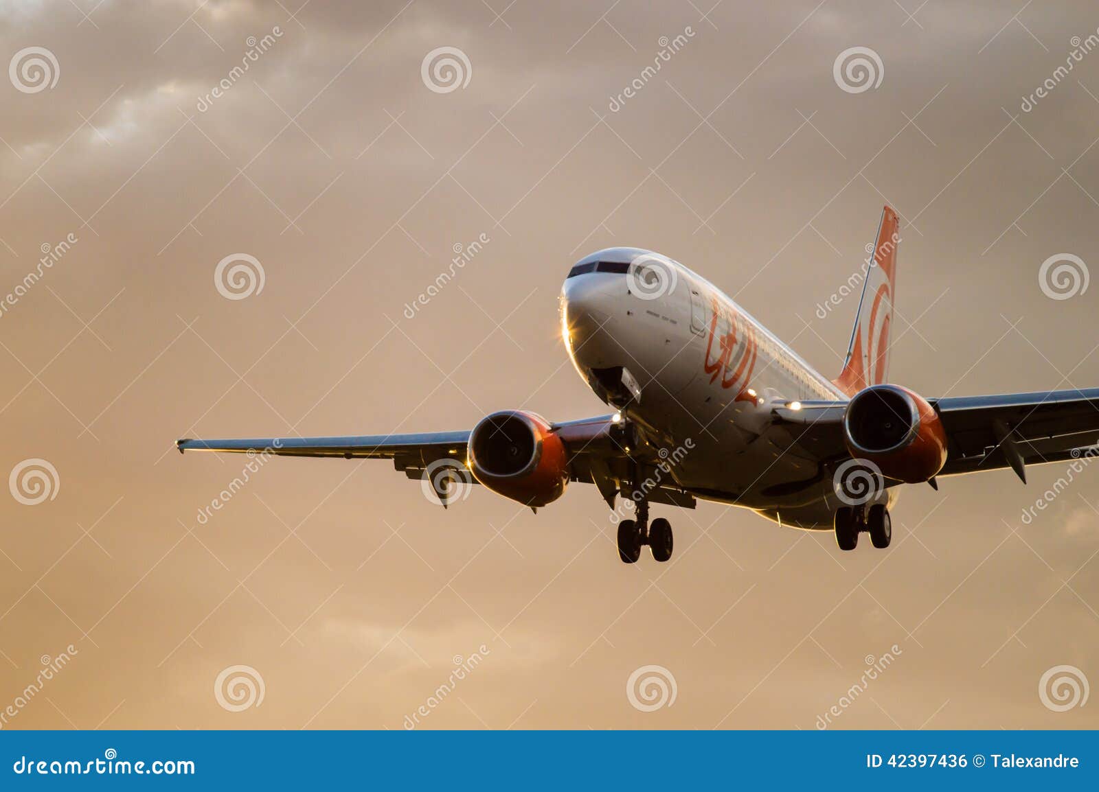 Gol Airlines Landing Editorial Photo Image Of Final 42397436