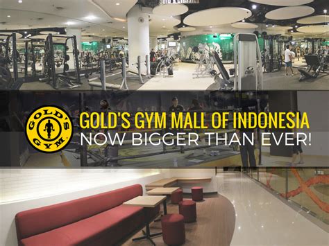 Gold S Gym Indonesia Goldsgym Indonesia Instagram Photos And Videos