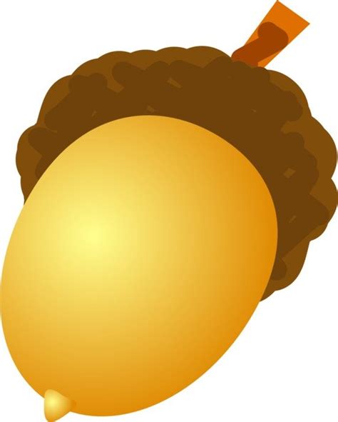 Golden Acorn