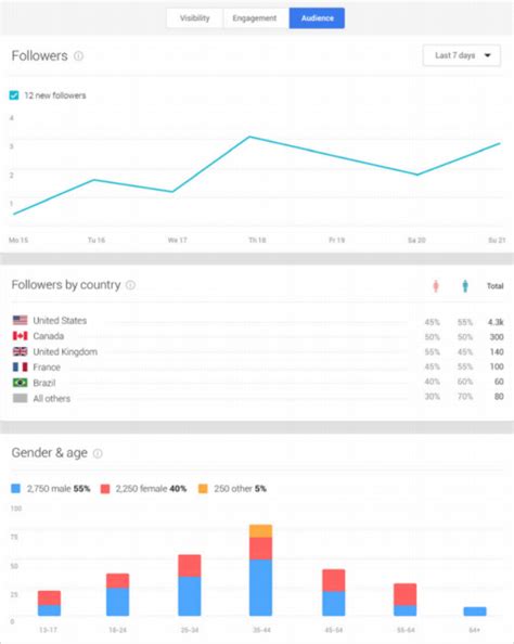 Google Insights Reports Visibility Engagement Audience