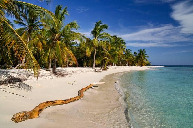 Google Venezuela Beaches Places To Visit Nature Travel