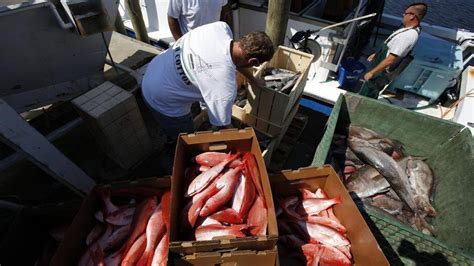 Grand Strand Fresh Seafood Markets Where To Buy Dine In Myrtle Beach Sun News