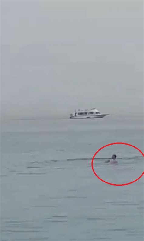 Graphic Video Captures Moment Russian Tourist Is Eaten Alive By Shark In Horrific Attack On