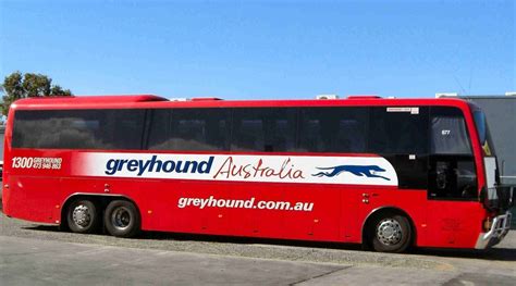 Greyhound Australia