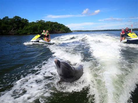 Guided Jet Ski Dolphin Tour Tripshock