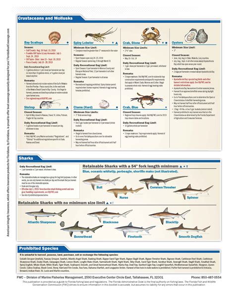 Gulf Regulations Vengeance Charters