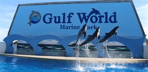 Gulf World Marine Park