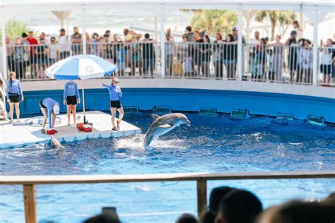 Gulfarium Destin Fl Aquarium In Destin