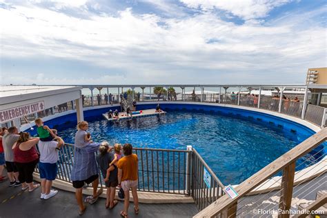 Gulfarium Marine Adventure Park Destin FL