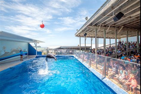 Gulfarium Destin Fwb Florida