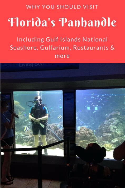 Gulfarium Florida S Emerald Coast Gulf Islands National Seashore