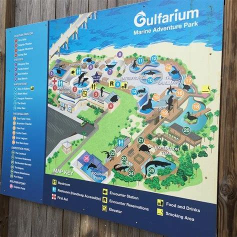 Gulfarium Marine Adventure Park What You Need To Know Coastal Vibe