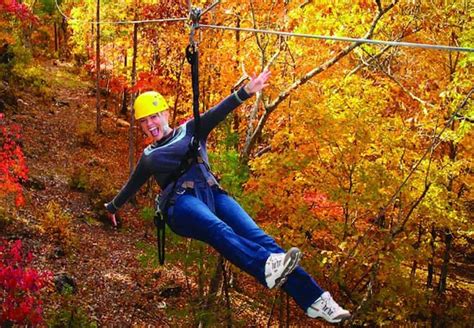 Gulfport Treetop Zipline Morning Course Tripshock