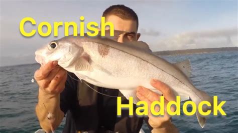 Haddock Fishing Sea Fishing Uk Tips For Beginners The Fish Locker