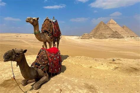 Happy Egypt Tours Kafrat Nassar Tripadvisor