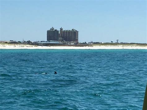 Harbor Watersports Destin 2019 All You Need To Know Before You Go With Photos Tripadvisor