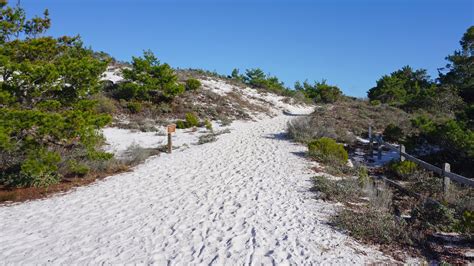 Henderson Beach Nature Trail Florida Hikes