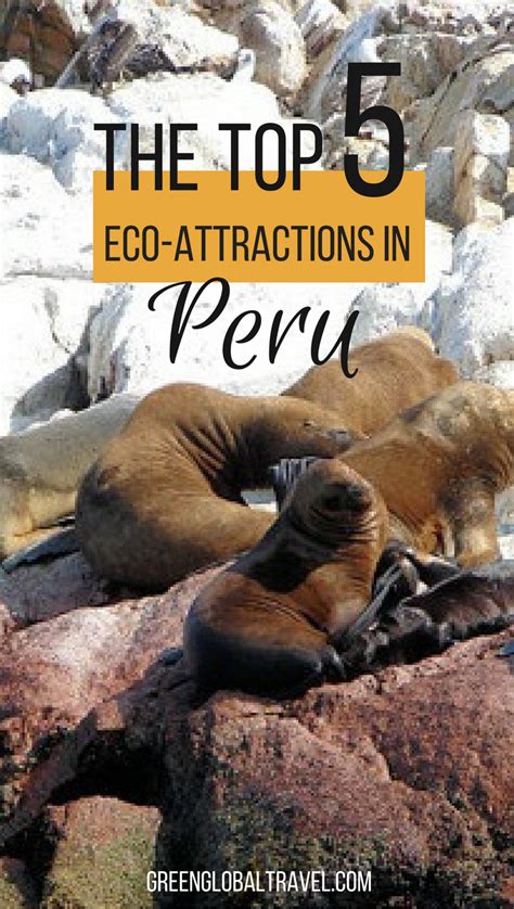 Here Are The Top 5 Peru Ecotourism Attractions Ballestas Islands