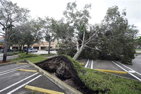 Here S How To Get Your Hurricane Ian Debris Picked Up In St Pete