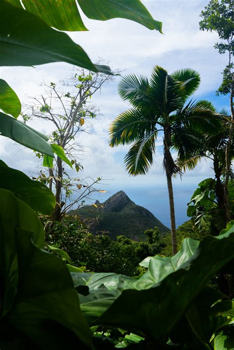 Hidden Gems Of The Caribbean Secrets Beyond The Crowded Beaches