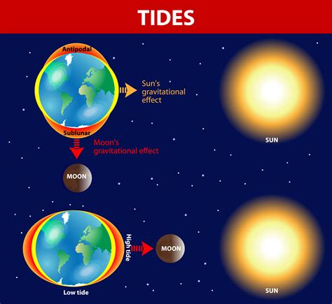 High Tide And Low Tide Explained