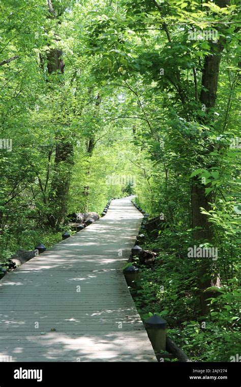 Hiking Trails In Virginia Stock Photo Alamy