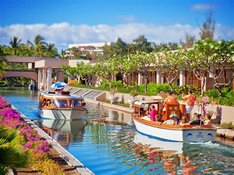 Hilton Waikoloa Village Dolphin Quest