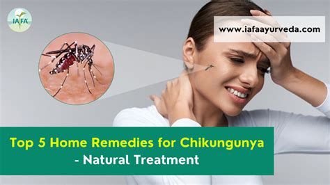 Home Remedies For Chikungunya Top 10 Home Remedies