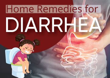 Home Remedies For Darrhea Complete Free Health Solution For Health