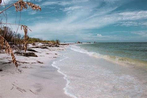 Honeymoon Island State Park Florida Complete Guide Insider Tips