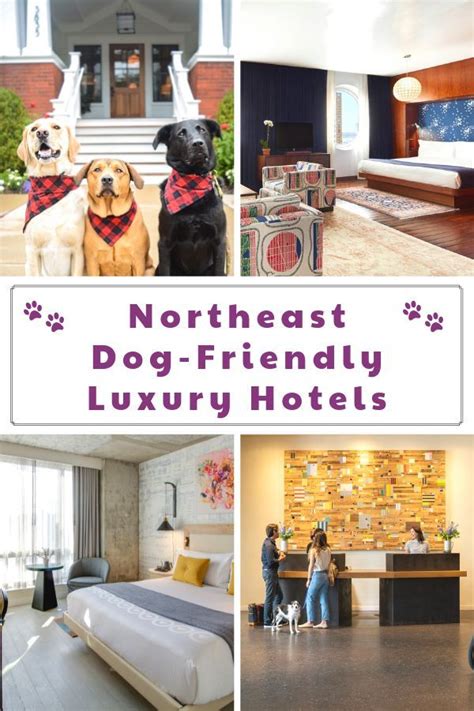 Hotels Near Me Pet Friendly Hotelohio