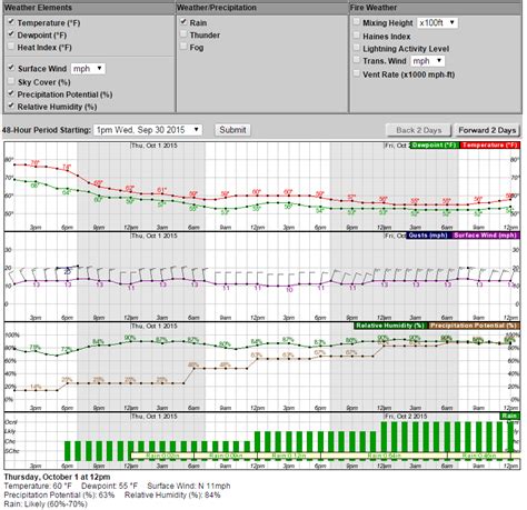 Hourly Weather Forecast Information