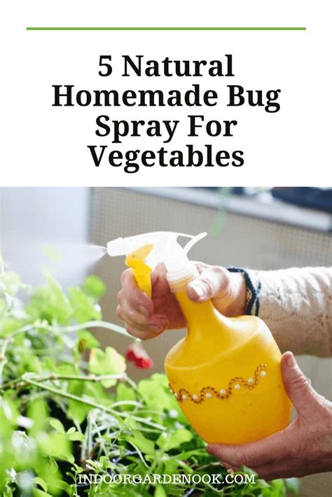 Houseplant Care For Beginners Today S Gardener Homemade Bug Spray