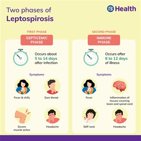 5 Ways Leptospirosis Travels