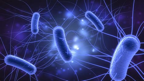 5 Ways E Coli Travels