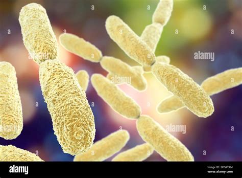 Friedlander's Bacillus Travel Methods