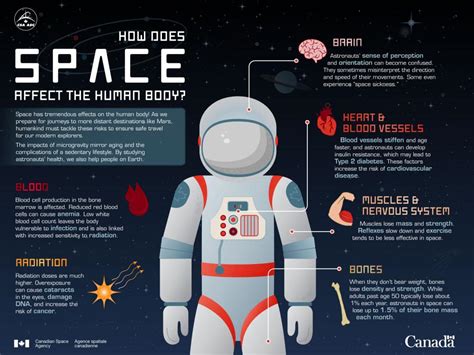 How Does Space Travel Affect The Human Body Science Questions