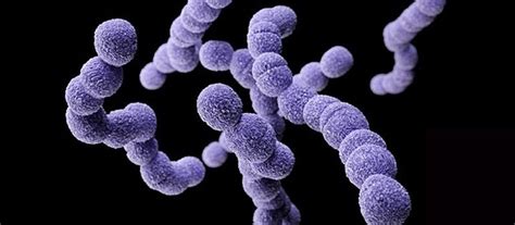 Streptococcus Group A Travel Methods