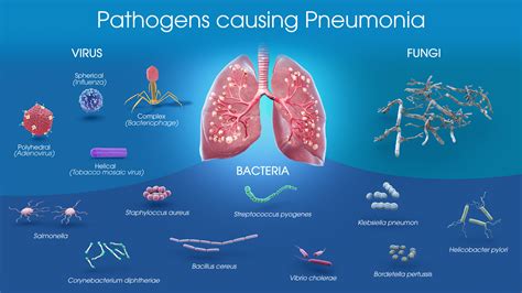 Streptococcus Pneumoniae Travel Methods