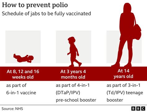 Poliovirus Travel Methods