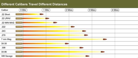 22 Bullet Travel Distance