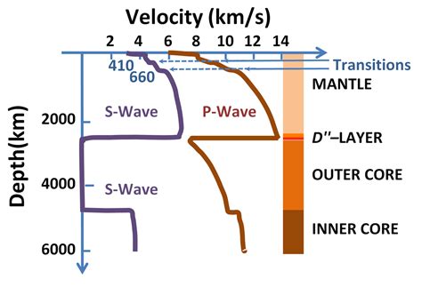 How Fast Do P Waves Travel Socratic