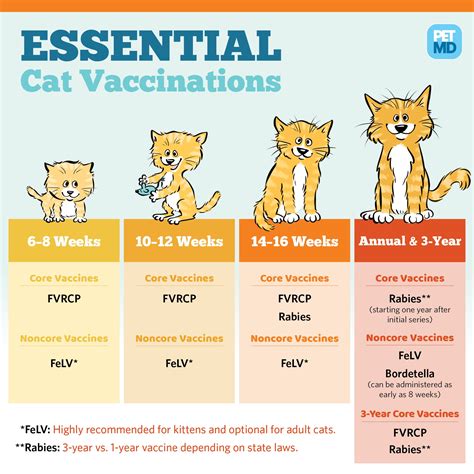 How Much Is A Rabies Shot At Petco